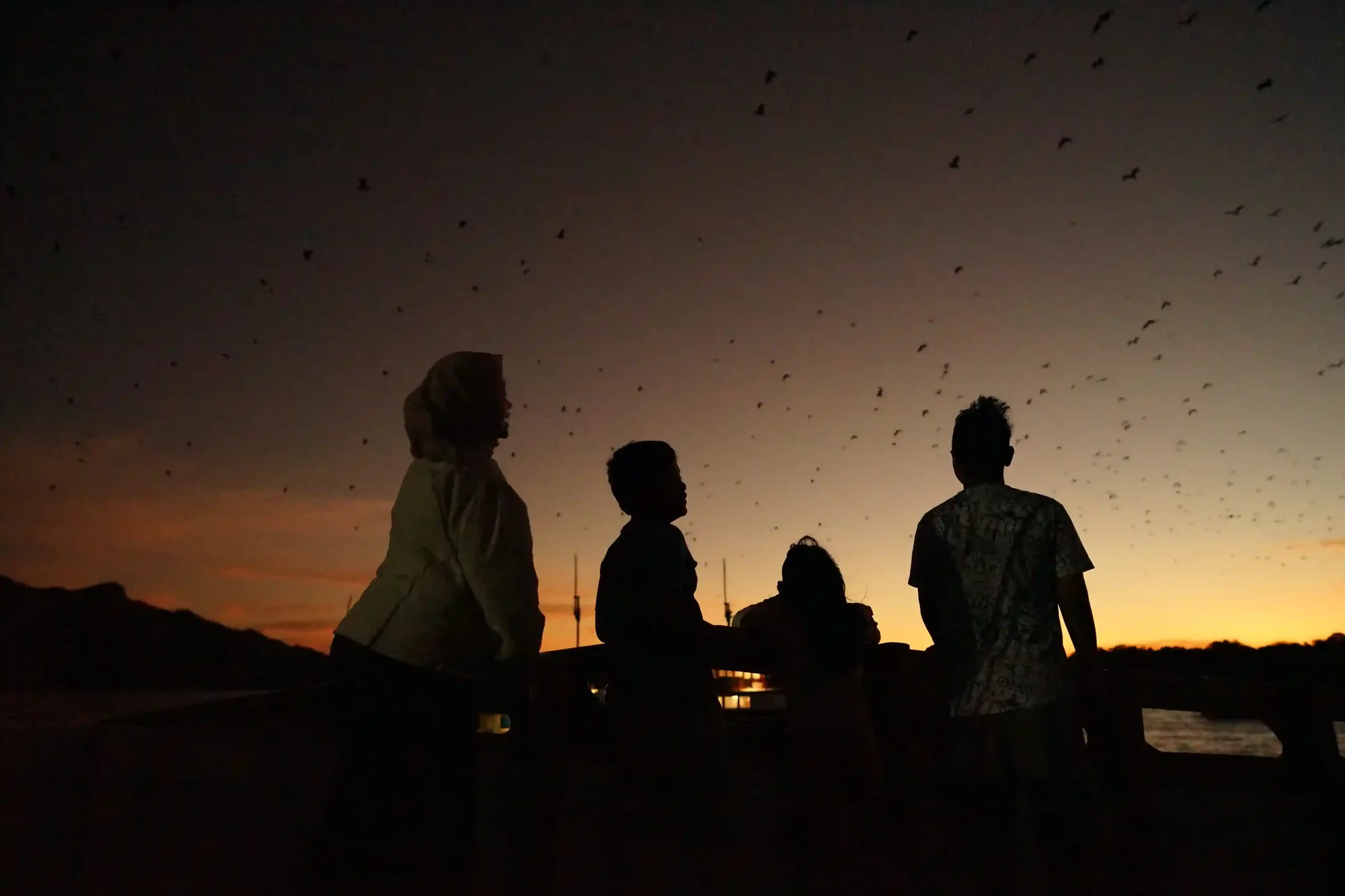 Sunset over the mangroves of Kalong Island where thousands of flying foxes take off at dusk