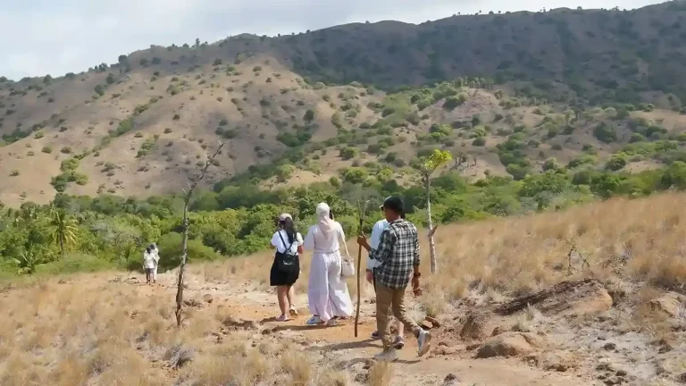 The boardwalk and dry savannah trekking track on Rinca Island