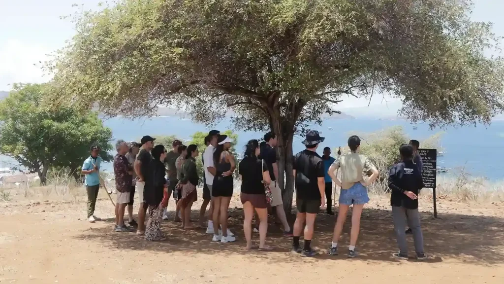 Visitors trekking with a licensed park ranger on Komodo Island
